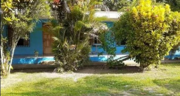 Magic Flower Rooms Cahuita Exterior foto